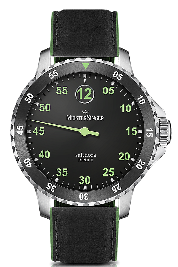 Salthora meta x transparent online