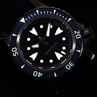 Steinhart White Shark