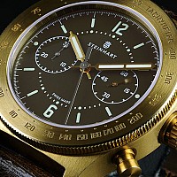 Steinhart Marine Officer Bronze