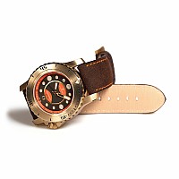 Steinhart SALAMANDER