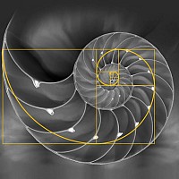 Biatec Golden Ratio LE 04