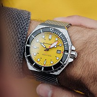 Spinnaker Dumas SP-5081-44