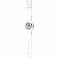 Swatch ORIGINAL GW194