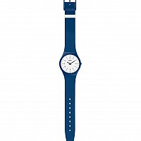 Swatch SKIN SFN124