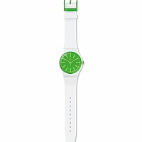 Swatch ORIGINAL SUOW166