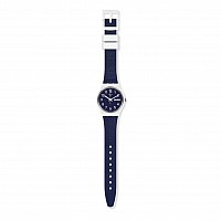 Swatch ORIGINAL GW715