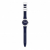 Swatch ORIGINAL GW715