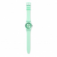 Swatch ORIGINAL GG225