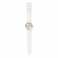 Swatch ORIGINAL GW411