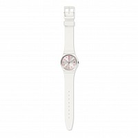 Swatch ORIGINAL GW411