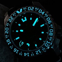 Steinhart TRAVELER GMT green