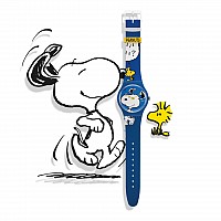 Swatch SO29Z106