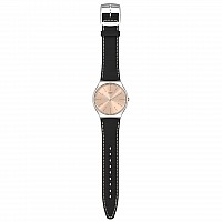 Swatch SKIN IRONY SS07S118