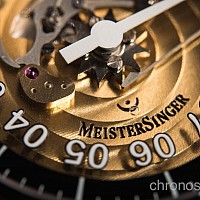 MeisterSinger Salthora Transparent ED-SH902T