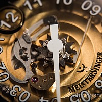 MeisterSinger Salthora Transparent ED-SH902T