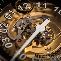 MeisterSinger Salthora Transparent ED-SH902T