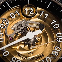 MeisterSinger Salthora Transparent ED-SH902T