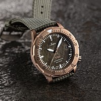 Sinn T50 Goldbronze