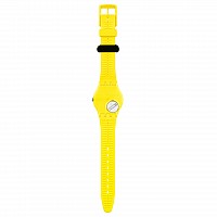 Swatch SO28Z117