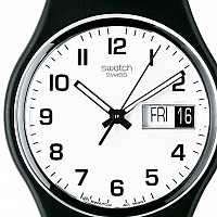 Swatch ORIGINAL GB743-S26