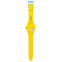 Swatch SO29Z134