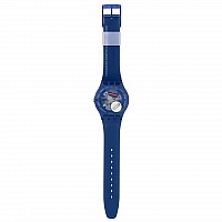 Swatch SO29Z136