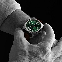 Steinhart Aviation green
