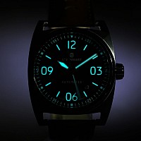 Steinhart Aviation green