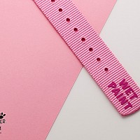 Seiko 5 Sports SKX Series Pink Panther Limited Edition SRPM07K1