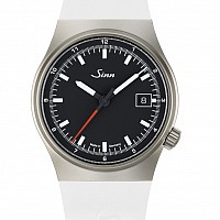 Sinn 544 RS