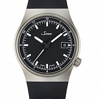 Sinn 544