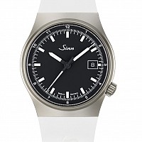 Sinn 544
